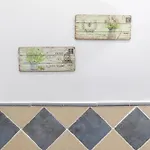 Tapias Blancas