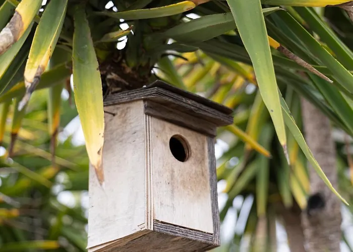 펜션 Tapias Blancas *